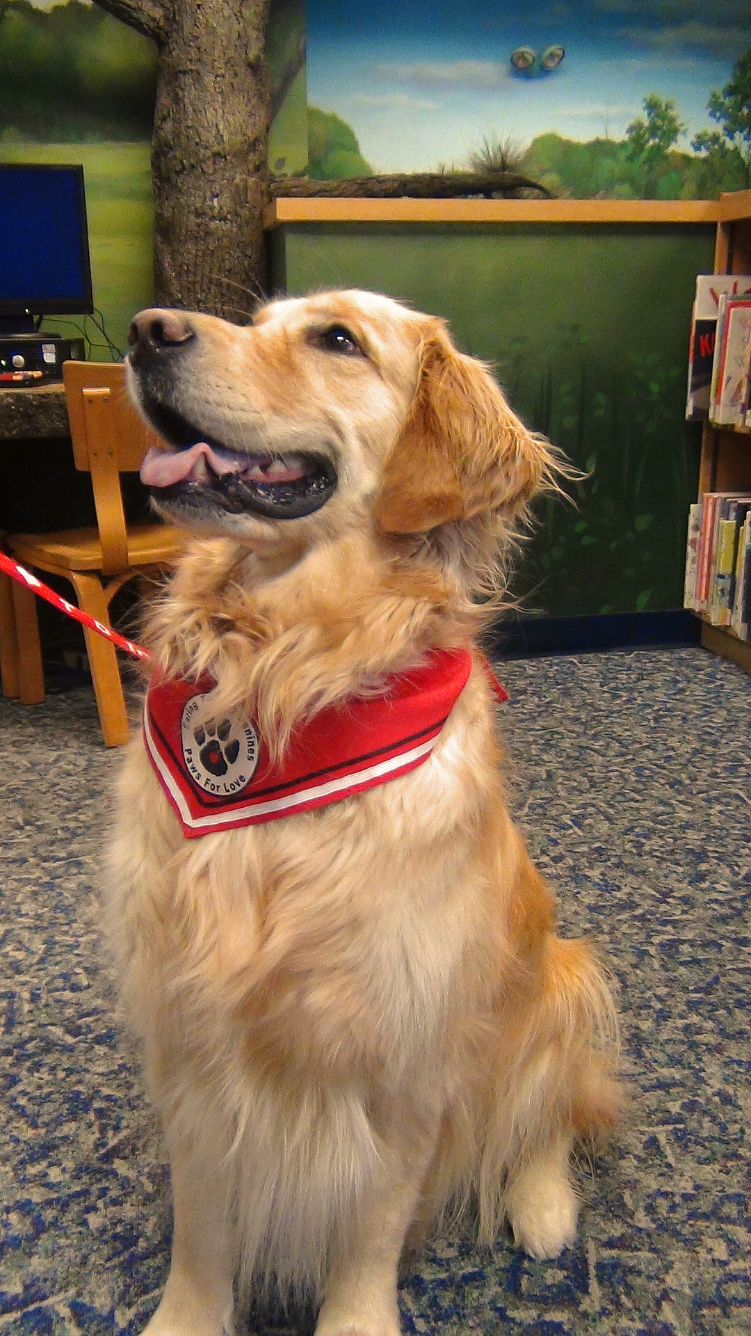 PAWs to Read therapy dog